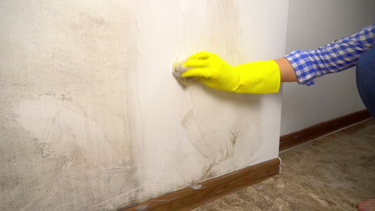 Mold Documentation for Insurance Claims